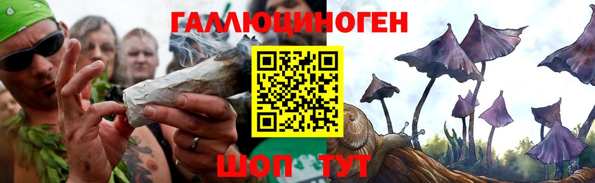 Псилоцибиновые грибы GOLDEN TEACHER Сорочинск